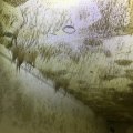 Commercial Building Maintenance: The Risks Of Ignoring Mold In Kansas City